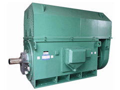 YRKK630-6Y系列6KV高压电机